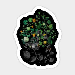 Fruitting Sticker